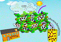 <a href="./kyjz/201411/t20141121_4256849.shtml">福建物构所光致变色材料研究...</a>