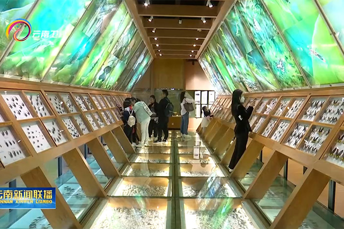 【云南卫视】“遇见科学-预见未来” 无码影片
第十九届公众科学日 昆明活动丰富多彩