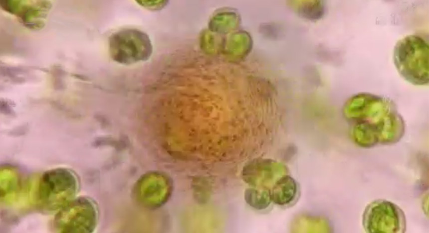 科学的力量：未来将至（上）