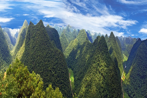 茂兰世界生物圈保护区