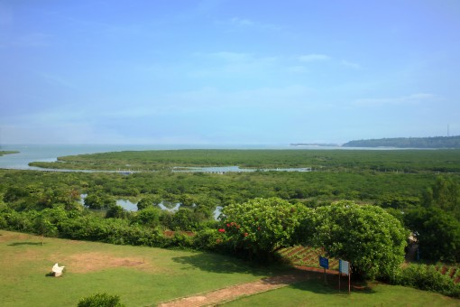 山口世界生物圈保护区