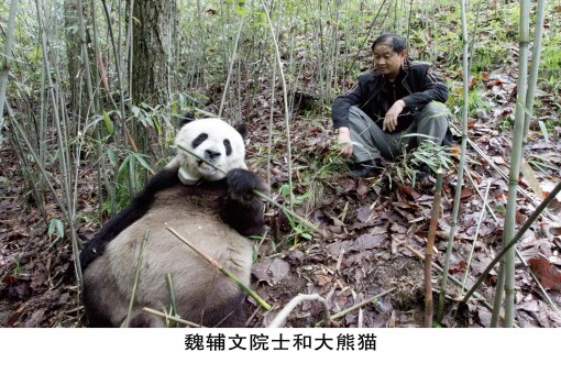 佛坪世界生物圈保护区