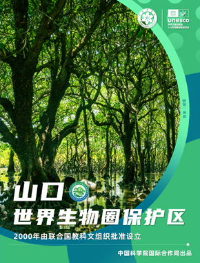 山口世界生物圈保护区