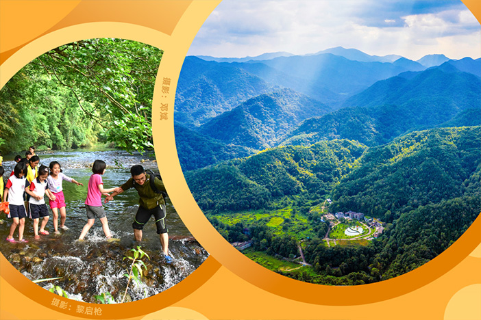 织就智慧生态网 守护湾区生灵