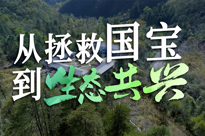 从拯救“国宝”到生态共兴