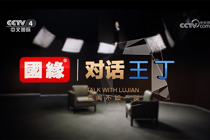 【鲁健访谈】对话王丁