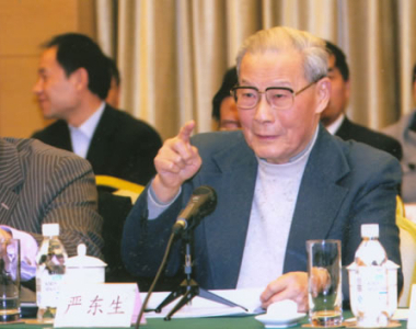 2009年，严东生在全国政协成立60周年大会上讲话