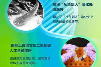 【学习强国】无码影片
创新成果速览（二）